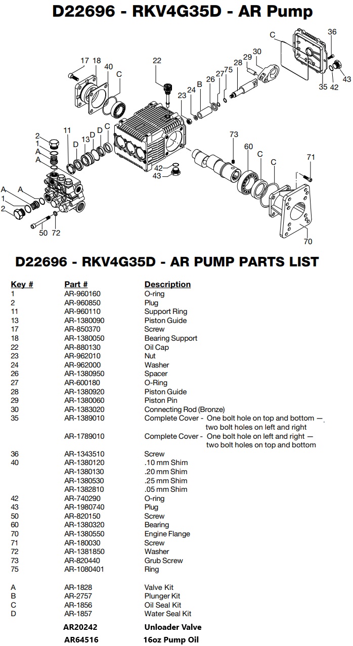 D22696 pump repair parts